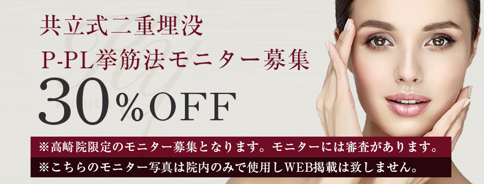 二重高崎モニター