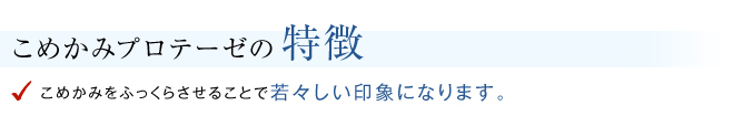 プロテーゼの特徴