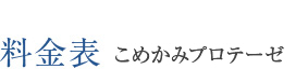 料金表 プロテーゼ挿入
