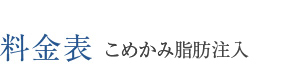 料金表 脂肪注入