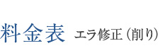 料金表 エラ修正（削り）
