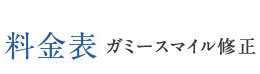 料金表 ガミースマイル