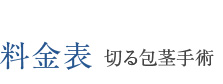料金表 切る包茎手術