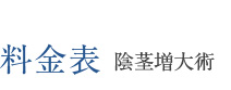 料金表 陰茎増大術