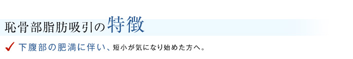恥骨部脂肪吸引の特徴