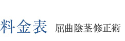 料金表 屈曲陰茎修正術