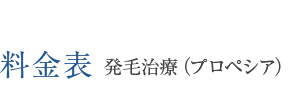 料金表 プロペシア