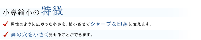 小鼻縮小の特徴