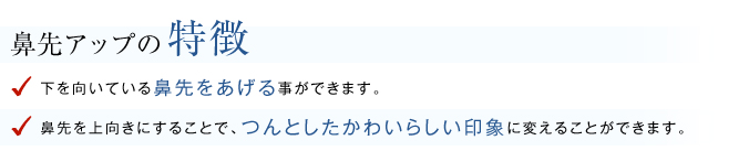 鼻先アップの特徴
