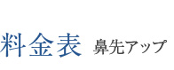 料金表 鼻先アップ