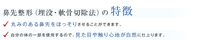 鼻先整形の特徴
