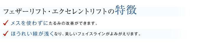 フェザーリフトの特徴