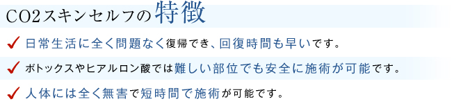 CO2スキンセルフの特徴