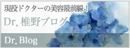 現役ドクターの美容最前線 Dr.椎野ブログへ